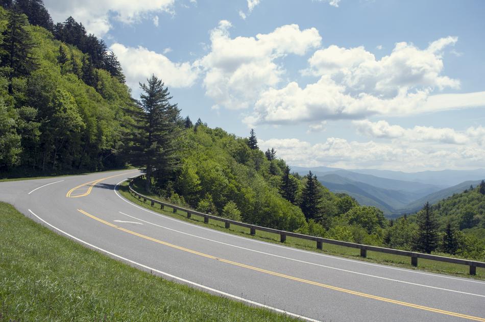 Road Nature Tree