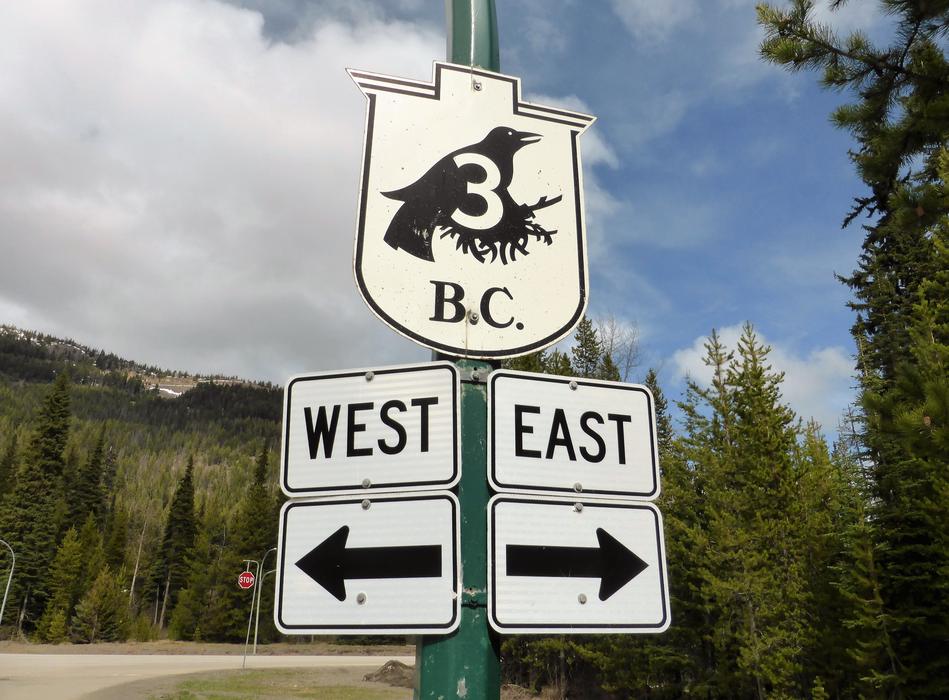 Road Sign Raven Crow
