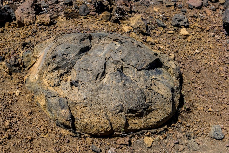volcanic stone in the ground