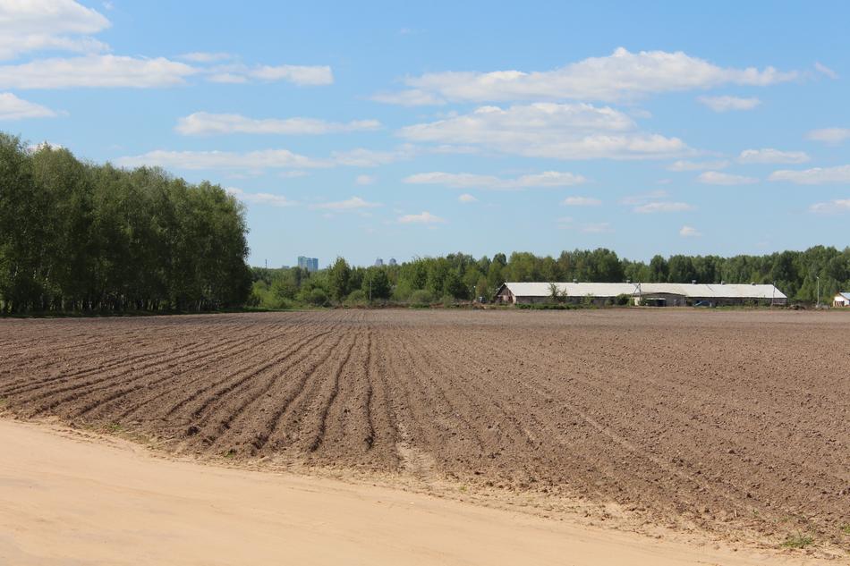 sowing field