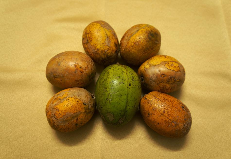 healthy fruits are green