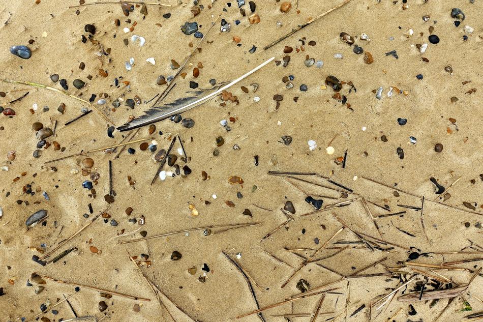 Sand shoreline Pattern