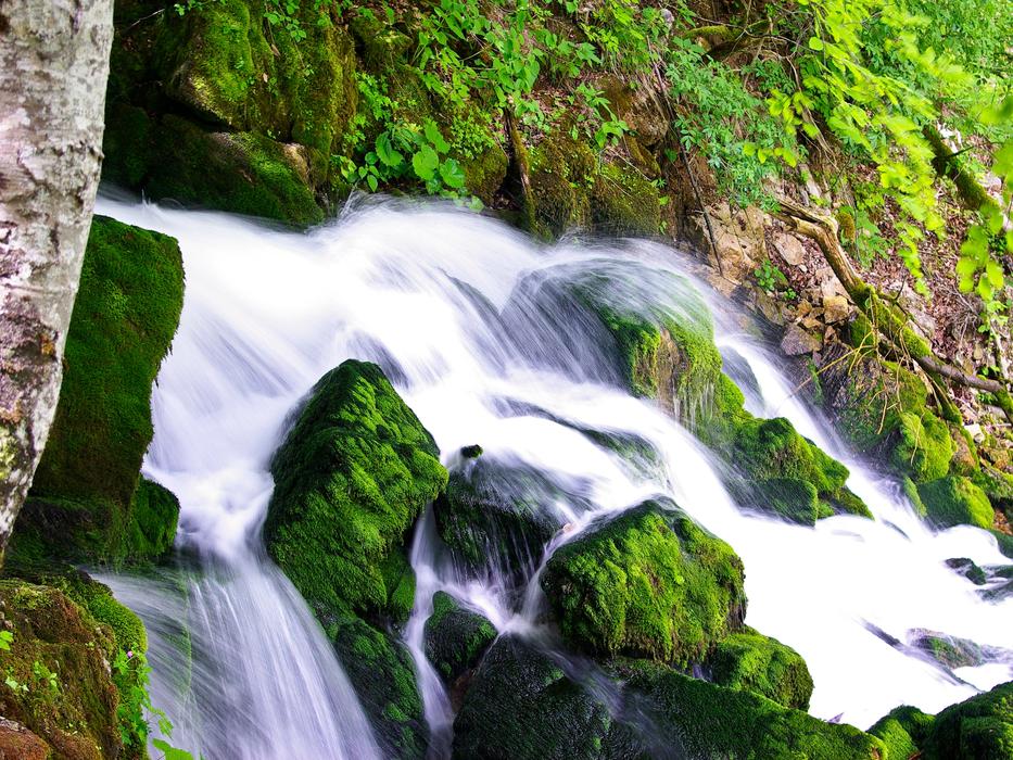 waterfall on the background of trees