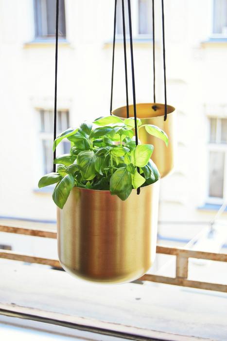 cute flower pots