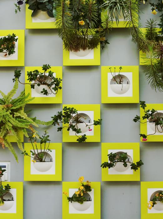 green flowers on the wall