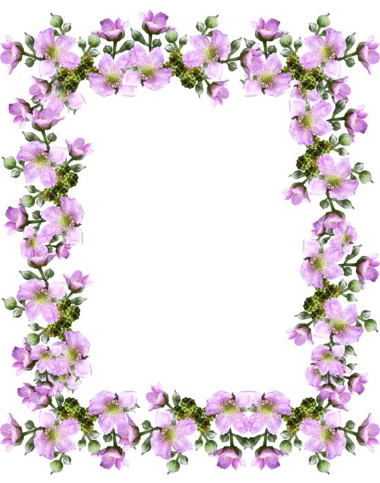 Frame Border Pink