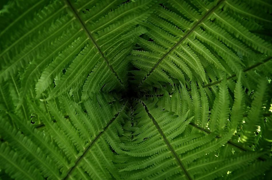 fantastic art green