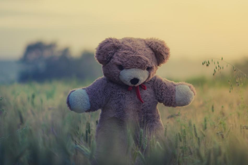 Teddy Bear Toy on field