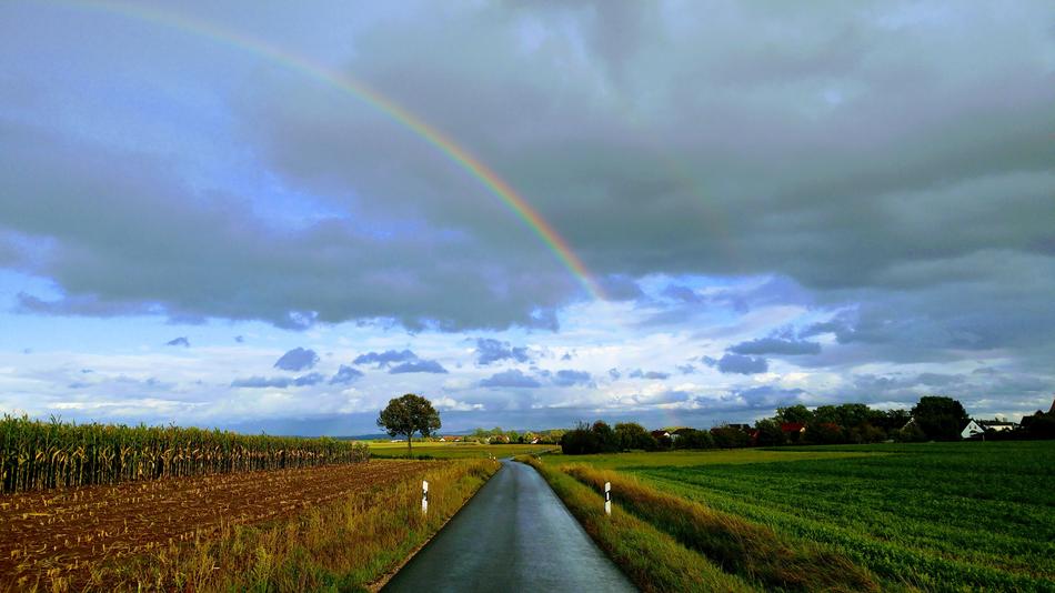 Rainbow Road Sky Natural