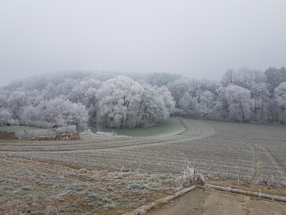 Landscape Hoarfrost