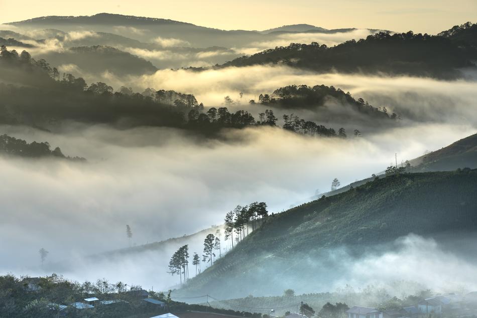 Vietnam Environment Nature