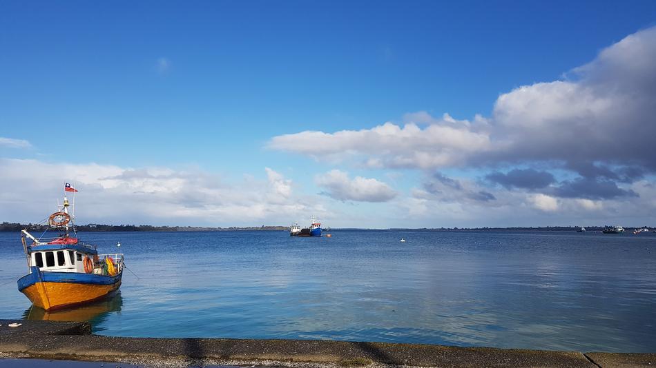 cute boat on the sea landscape