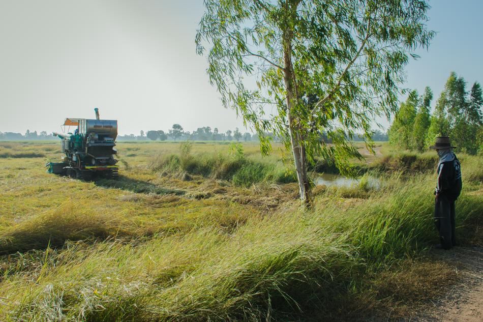 man standing by a field