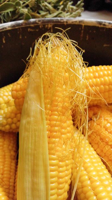 Sweet delicious boiled corn