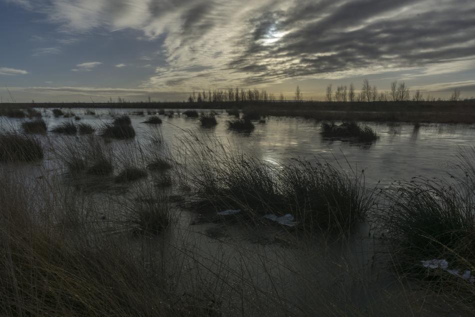 Waters Reflection Panorama