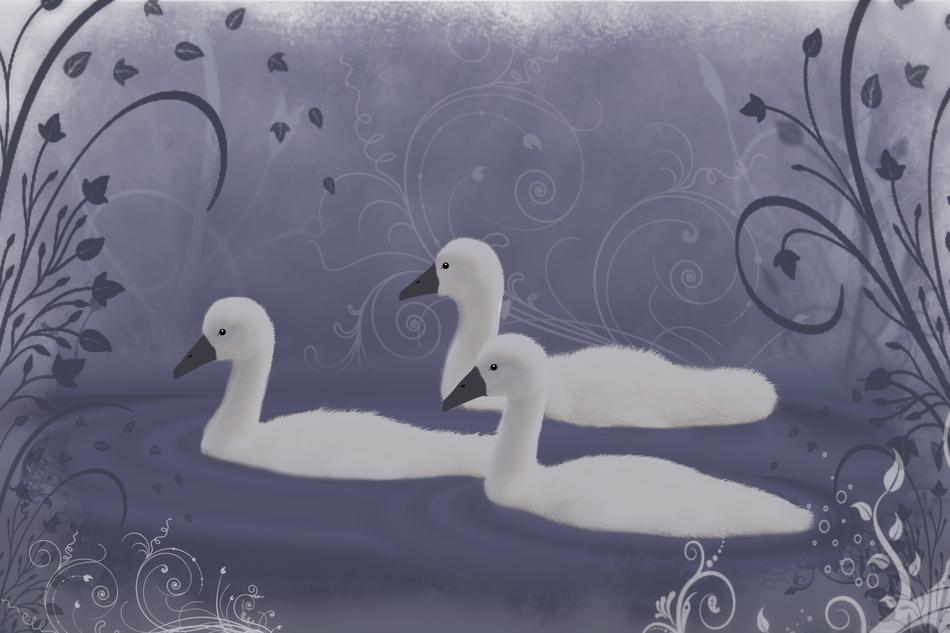 Beautiful painting of the white swans in the water, among the patterns, at dark background, clipart