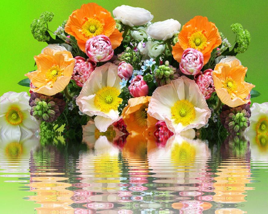 florist bouquet collage