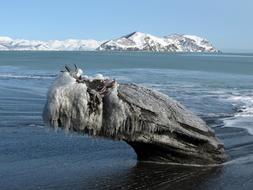 Ocean Beach seascape in winter