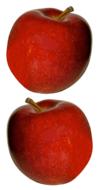 Delicious large apples