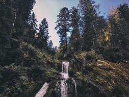 Forest Germany Travel