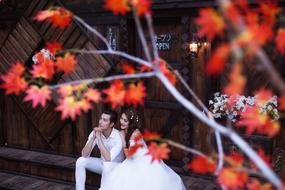 Beautiful and colorful leaves on the branches and sitting bridge and groom