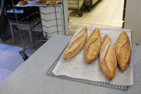 crusty bread baking