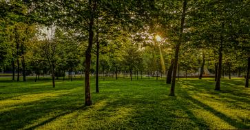 green landscape in the park