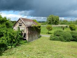 Grass House Wood
