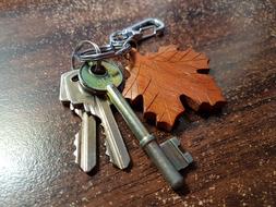 antique Wood Lock Security