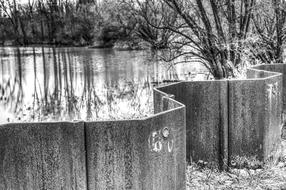 wall of trees white lake