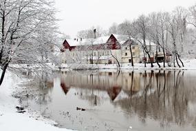snow trees lake view