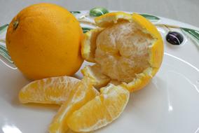 sweet fresh orange