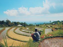 observation of water terraces in a picturesque landscape