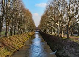 river in the middle of the trees in the park