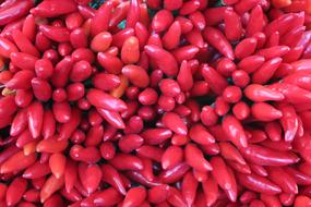 background of red hot peppers