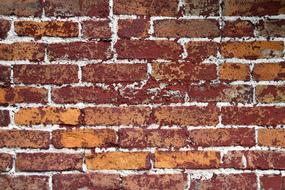 Brick Wall Background