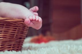 photo of baby feet in a basket
