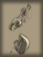 human woman drawing pose