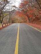 Mount Sanqing in Autumn