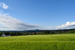 landscape near the green meadow