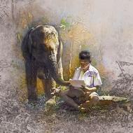 Boy Young elephant drawing