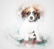 dog animal sitting art abstract