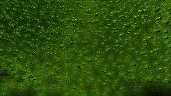 Background Glass Blow