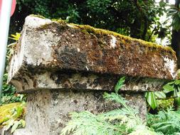 a big wall with moss in the rocks