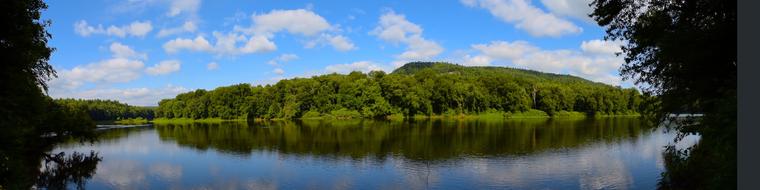landscape of lake and trees