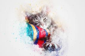 cat kitty animal art abstract