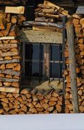 Wooden Industry Tree Logs