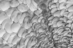 Ice Chapel Structure Background