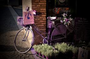 Wheel Basket bike violet