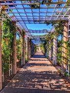 Garden Architecture Flora